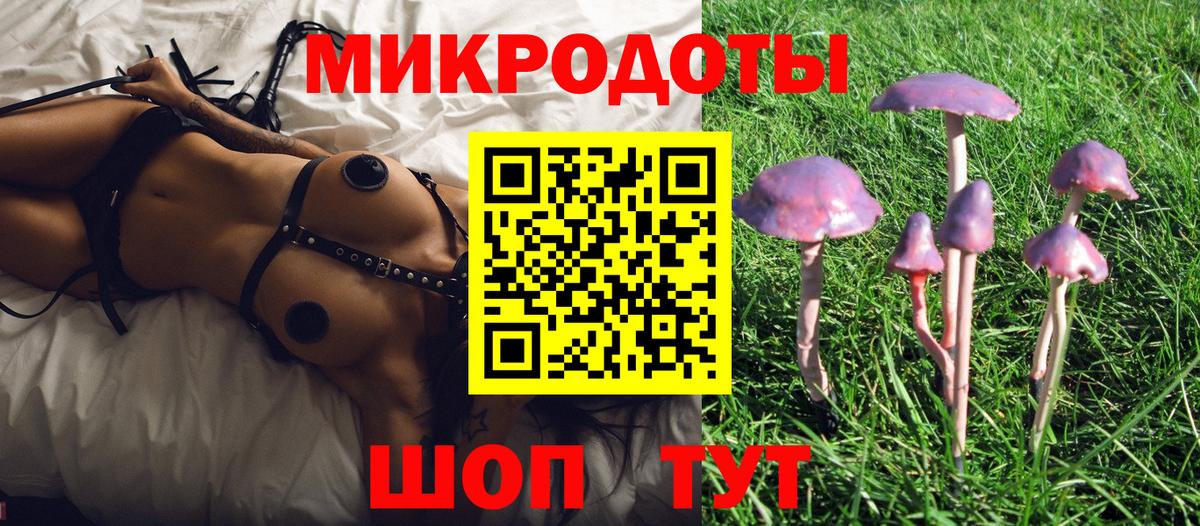 Псилоцибиновые грибы GOLDEN TEACHER  Вход с VPN  как найти закладки  Нижнеудинск  Псилоцибиновые грибы Cubensis 